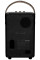Marshall Tufton Black and Brass